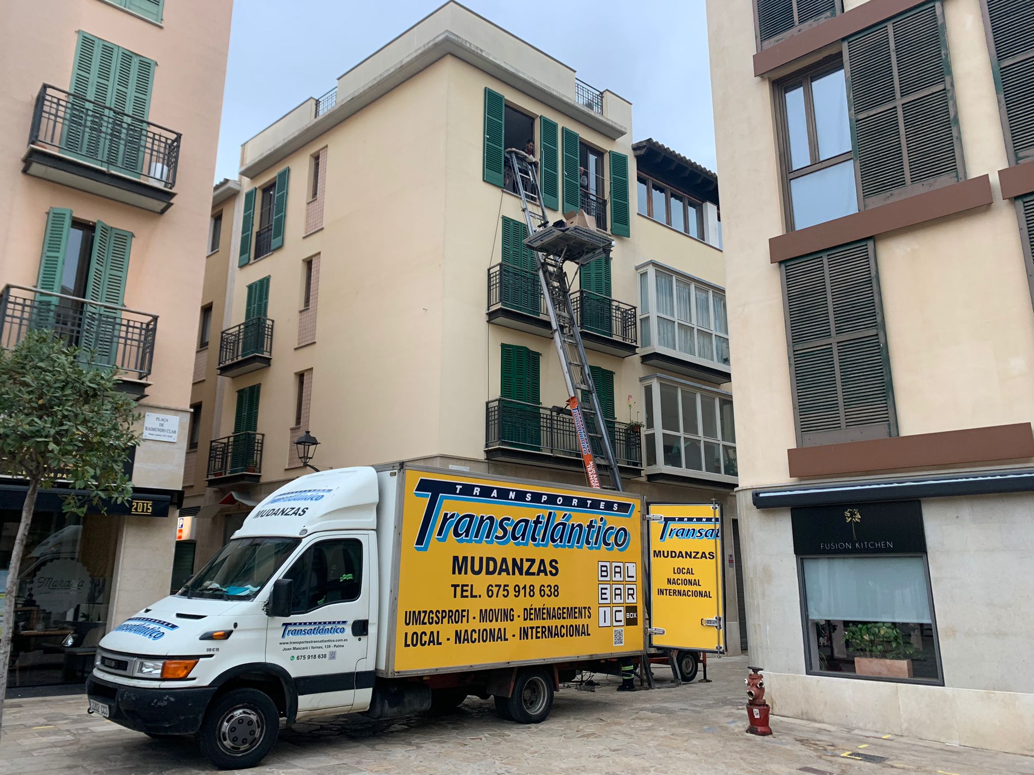 National removals Domestic removals
